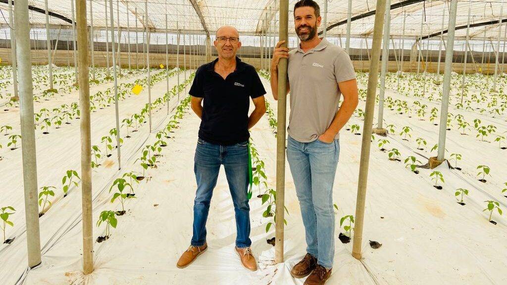 naturplas-gama-agroclima-invernadero-Almería|naturplas-gama-agroclima-invernadero-Almería|publicidad-agroclima-naturplas-2